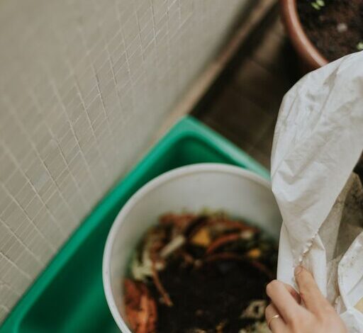 Easy and Effective Ways to Reduce Food Waste at Home