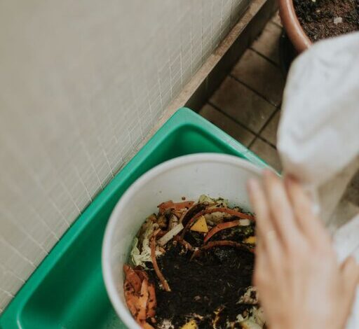 Beginner Tips for Composting at Home: A Simple Guide to Get Started